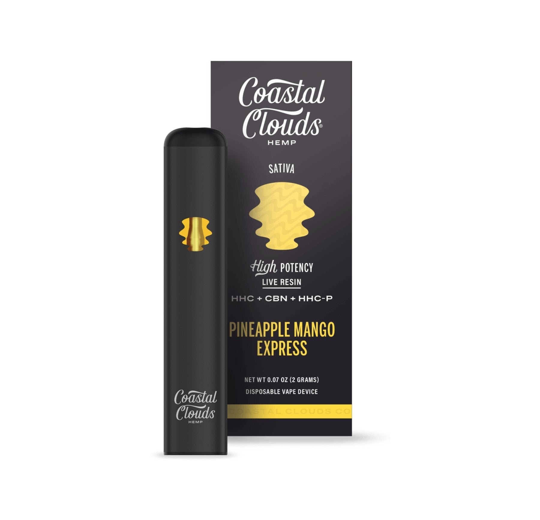 Pineapple Mango Express - Coastal Clouds Disposable