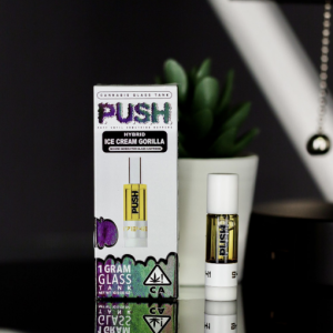 Push | Ice Cream Gorilla Tank