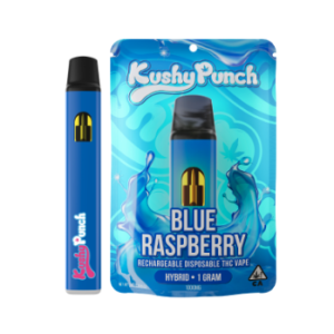 Kushy Punch | Blue Raspberry